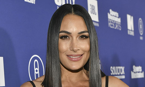 Brie Bella - Celeb Investigator